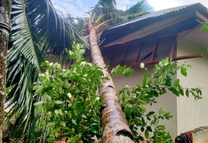 Angin kencang di Deli Serdang