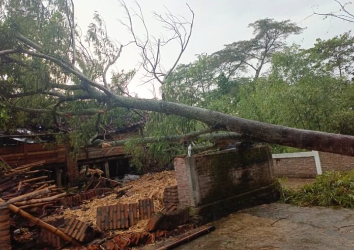 Angin kencang di Klaten