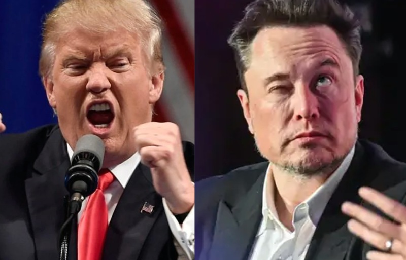 Donald Trump VS Elon Musk