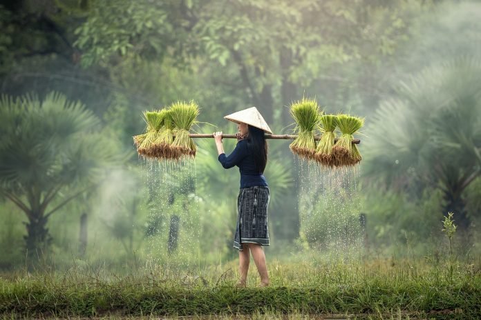 Hari Krida Pertanian