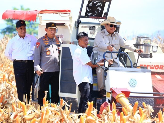 Panen Jagung Ketahanan Pangan Polri Bareng Presiden Prabowo