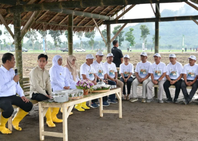 Wapres Gibran bersama Mentan Andi Amran Sulaiman di Kebun Tubu Banyuwangi