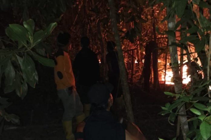 Karhutla di Padang Lawas utara