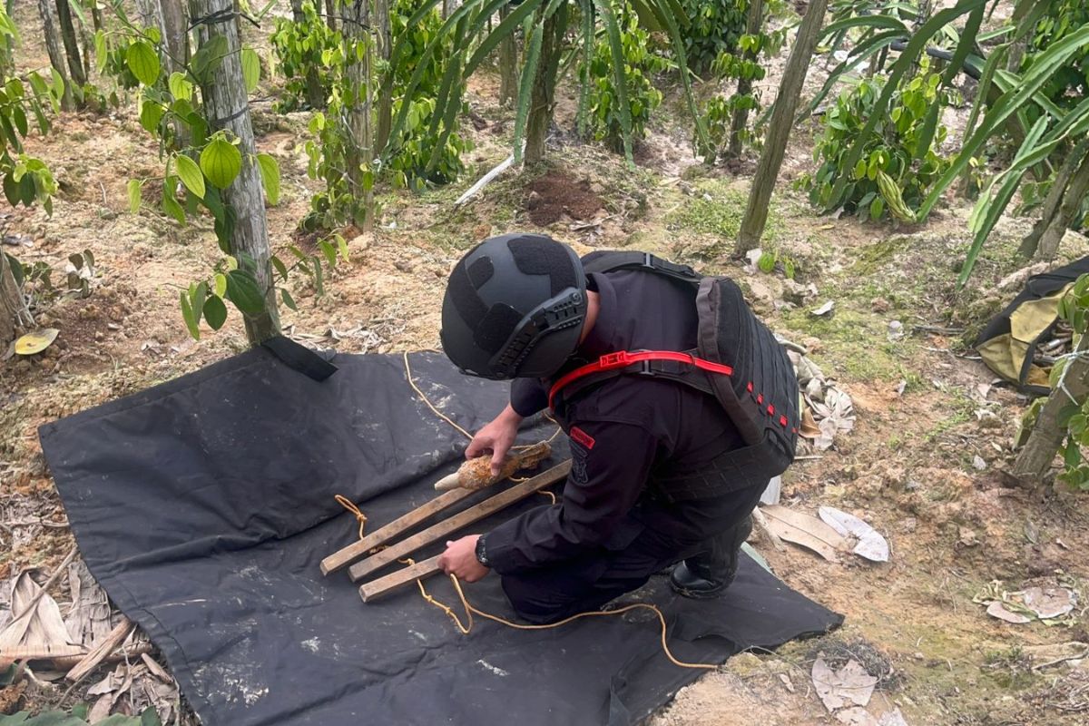 Mortir Sisa Perang Dunia II