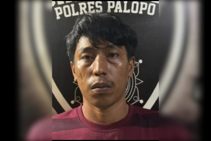 Ridwan Muis Pelaku Pelecehan Seksual ke Penumpangnya Sendiri