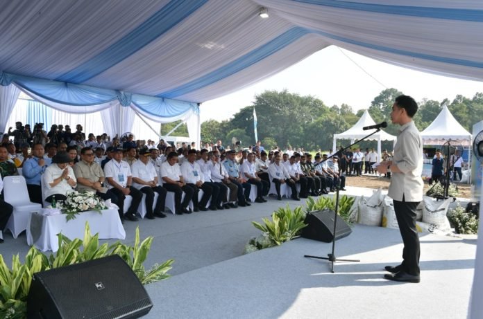 gibran rakabuming panen tebu