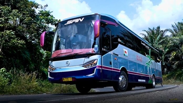 Bus PO San