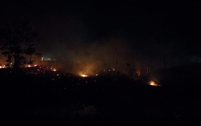 Karhutla di Kalimantan Utara