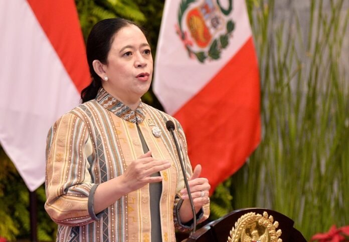 Puan Maharani di DPR RI