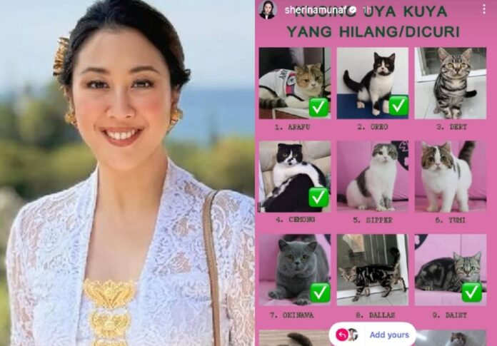 Sherina Munaf selamatkan kucing-kucing Uya Kuya
