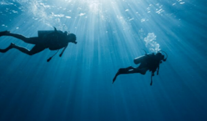 Ilustrasi Diving