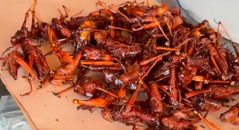 Kuliner ekstrem Indonesia.