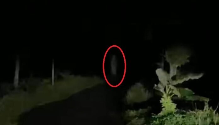 Penampakan Pocong