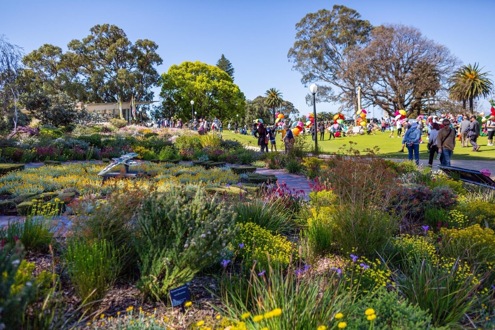 festival bunga australia barat