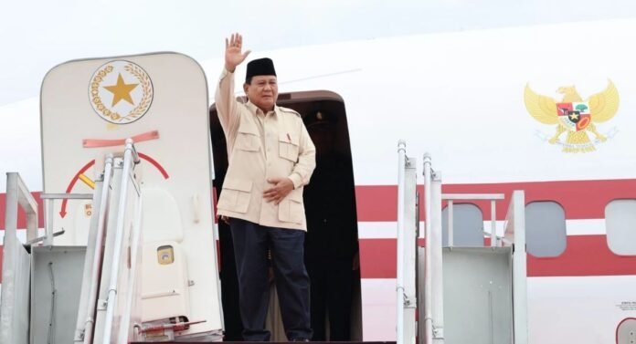 presiden prabowo ke mesir