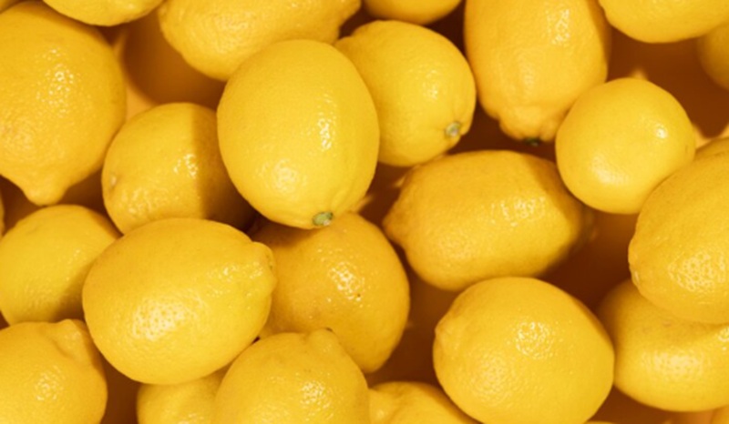 Buah Lemon Holopis