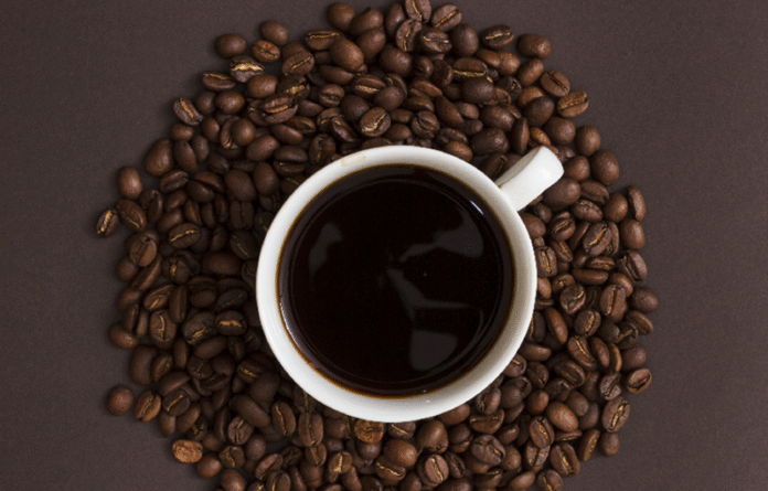 Coffe - Holopis