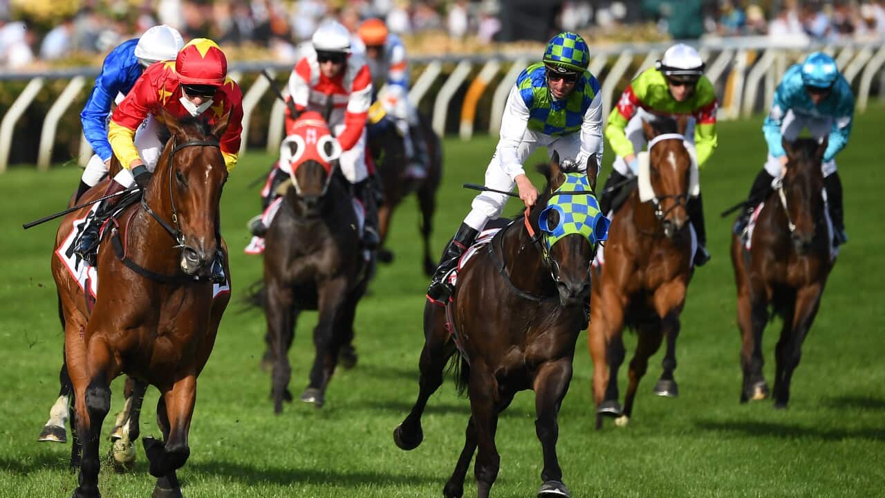 Melbourne Cup