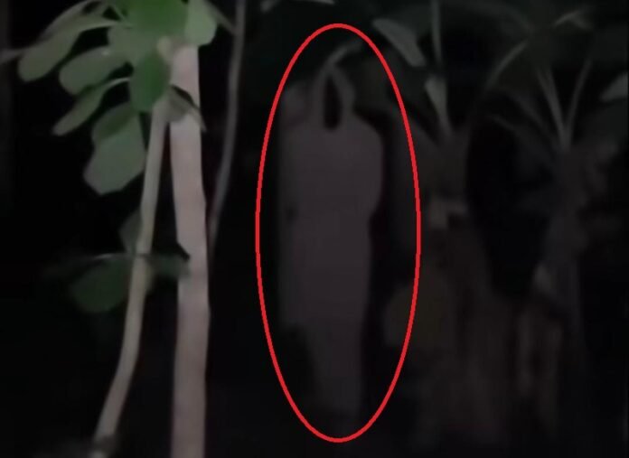 Penampakan Pocong