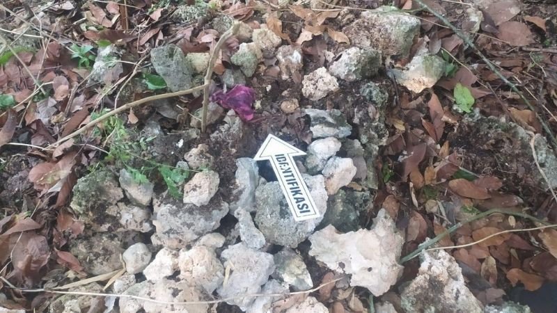 Warga Selayar Ditemukan Tinggal Tulang - Holopis (1)