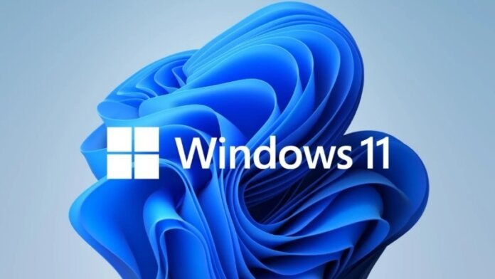Windows 11 - Holopis