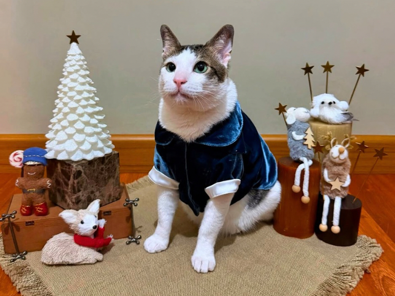 Bobby Kertanegara Natal