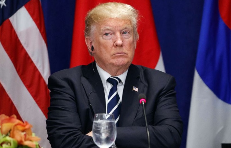 Donald Trump Holopis.com