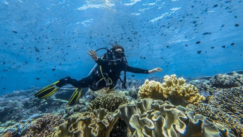Jurnal Kepariwisataan Indonesia - Holopis