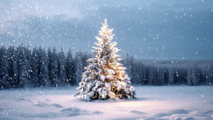 Pohon natal