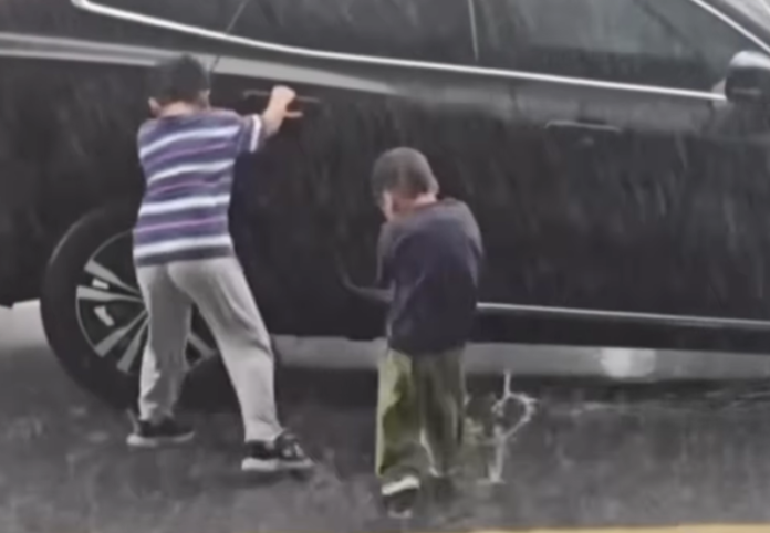 Video viral Holopis.com