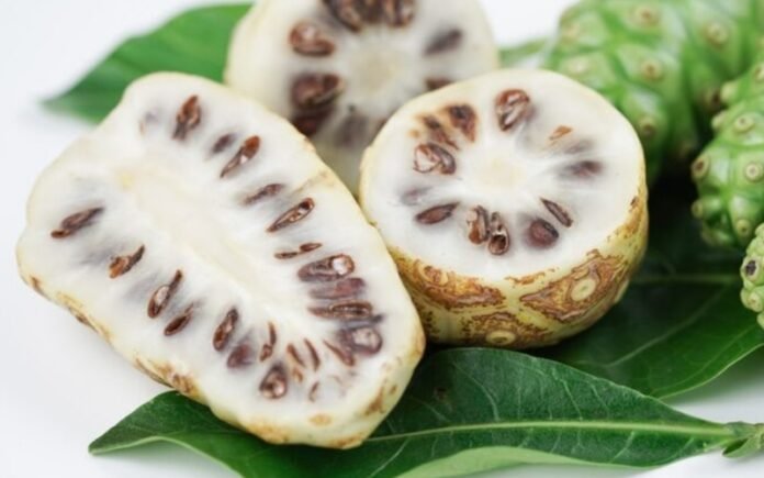 Buah Mengkudu