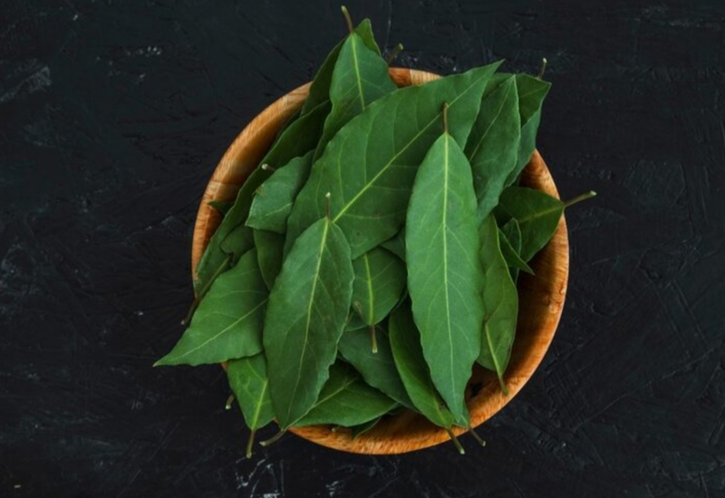 Daun Kari
