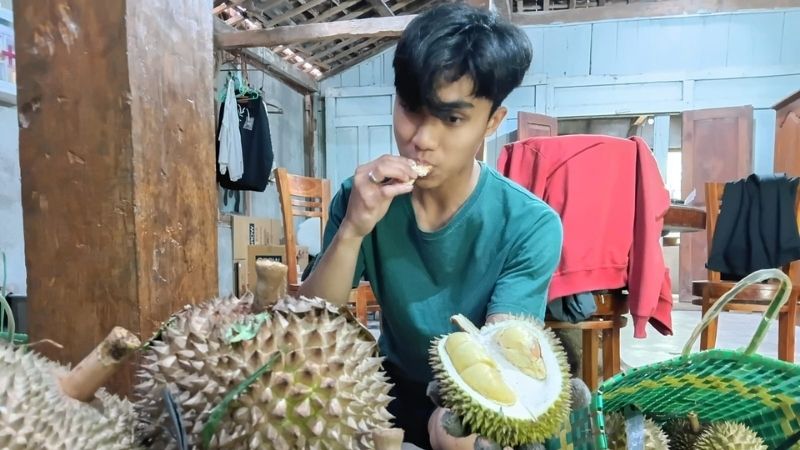 Durian Kawuk Raja - Holopis