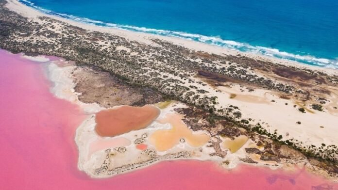 Hutt Lagoon - Holopis