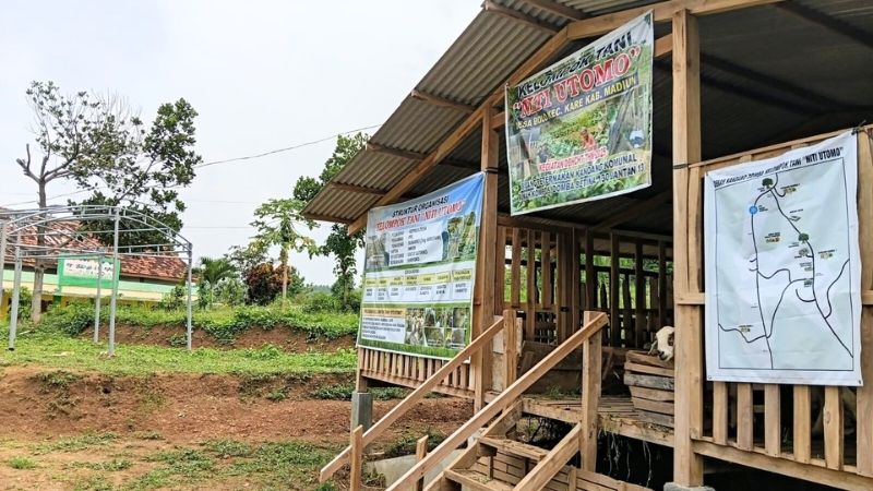 Kelompok Tani (Poktan) Niti Utomo Desa Bolo - Holopis