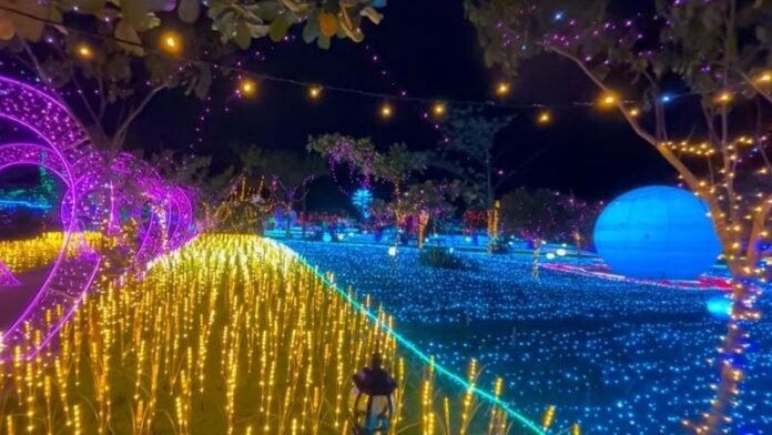 Lights Wonderland PIK - Holopis