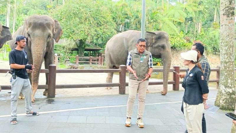 Mason Elephant Park - Holopis