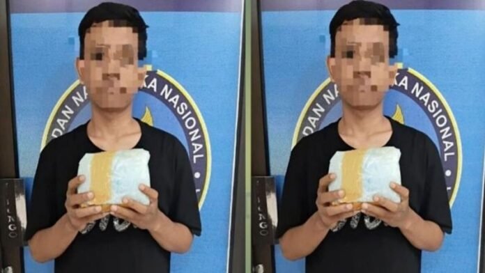 Pengedar narkoba - Holopis