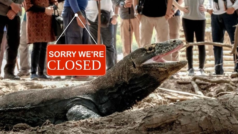 Taman Nasional Komodo - Holopis