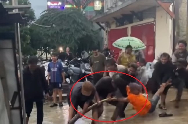Viral bapak-bapak tarik ular di pemukiman warga - Holopis