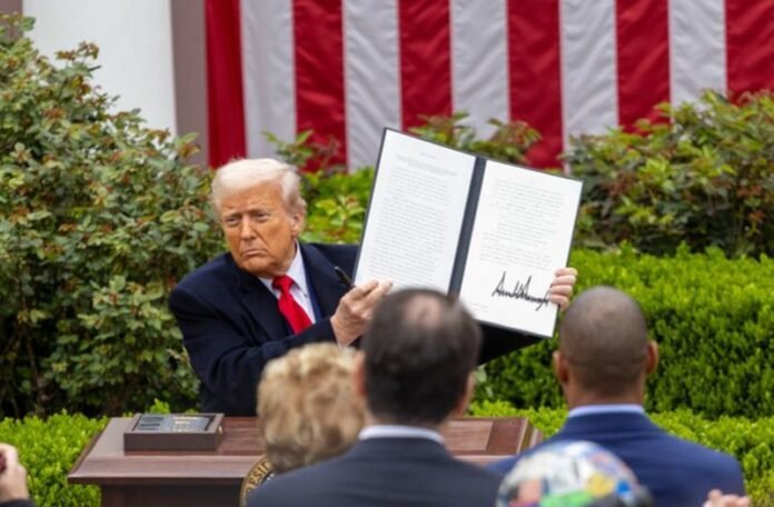 Donald Trump -Holopis