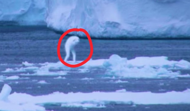 Ningen