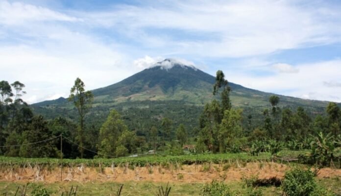 Gunung Cikuray