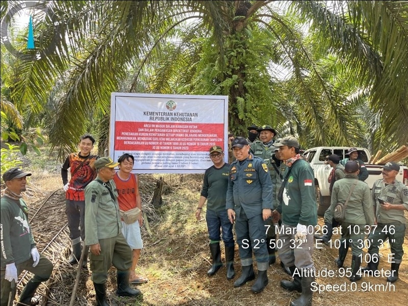 Operasi Gabungan Merah Putih 2026 Untuk Pulihkan 80 Ribu Hektare Habitat Gajah Holopis