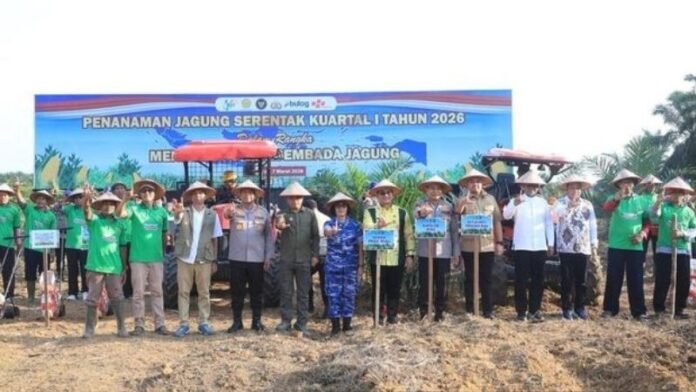 Tanam Jagung Serentak Di Riau Holopis