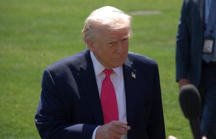 Donald Trump Holopis