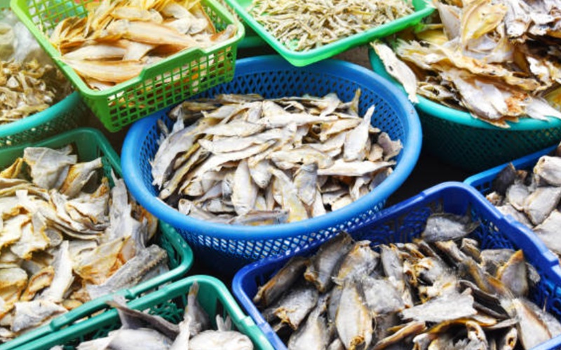 Ikan Asin Holopis