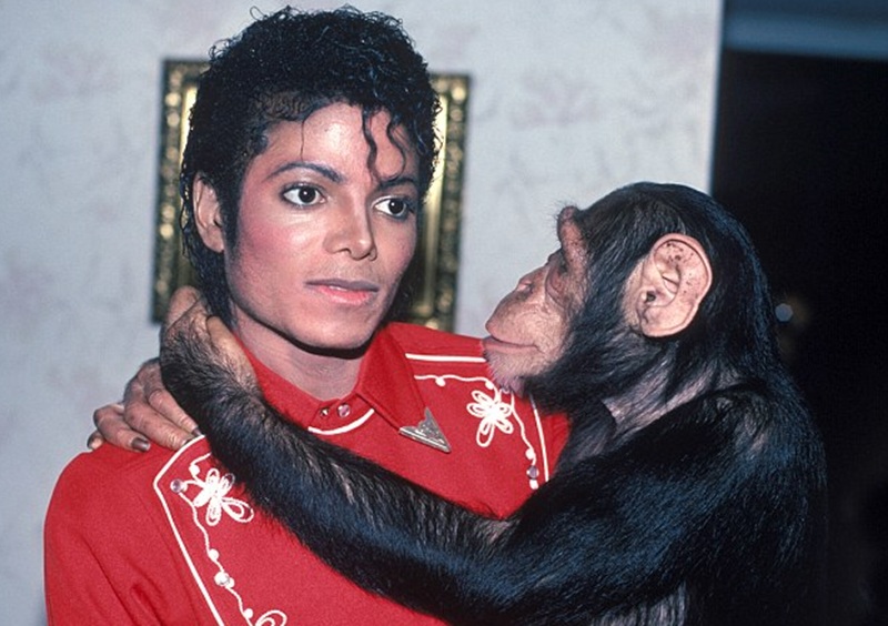 Michael Jackson dan Bubbles Holopis