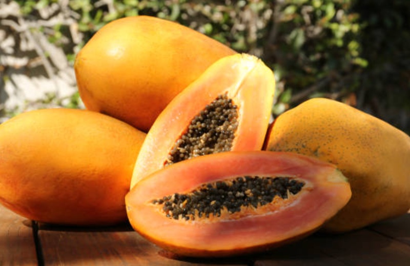 Pepaya