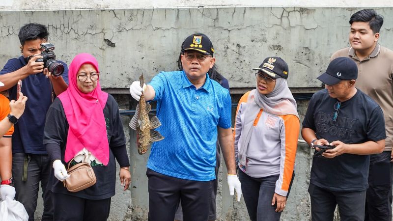 Penangkapan Ikan Sapu Sapu Holopis